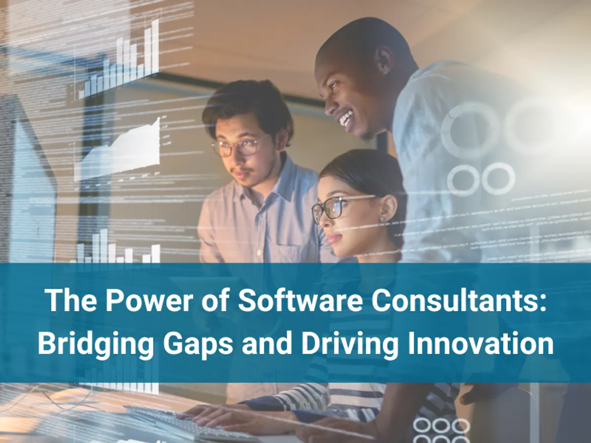 The Power of Software Consultants: Bridging Gaps and Driving Innovation