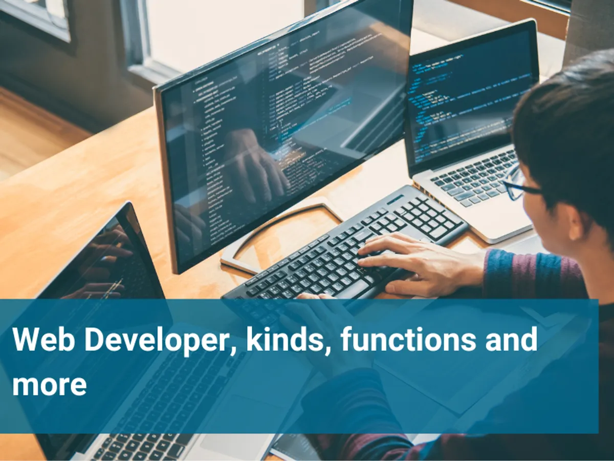 Web Developer, kinds, functions and more