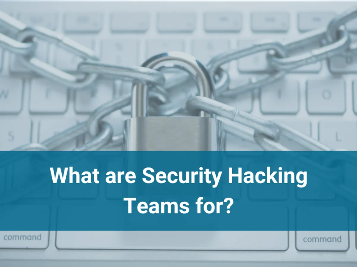 What are Security Hacking Teams for?
