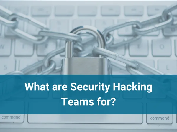 What are Security Hacking Teams for?